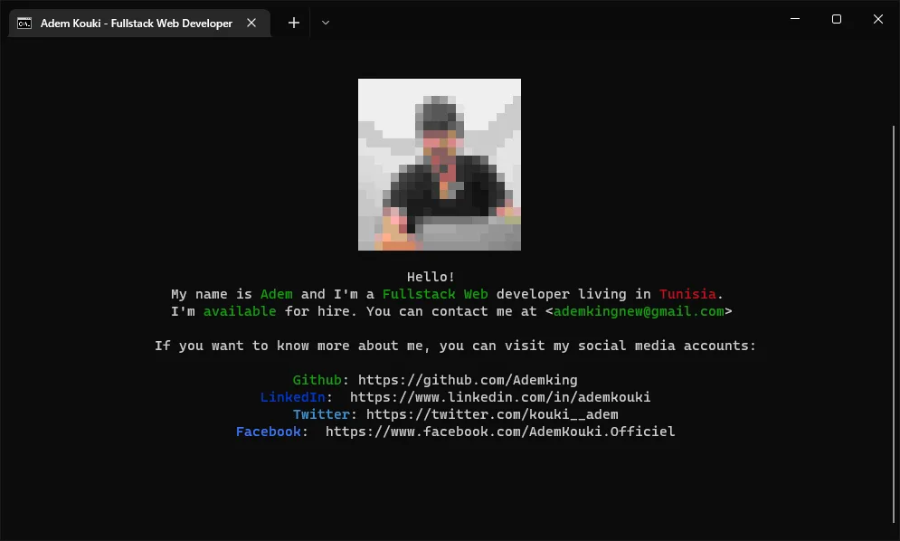 Screenshot of Terminal Portfolio